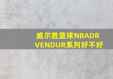 威尔胜篮球NBADRVENDUR系列好不好