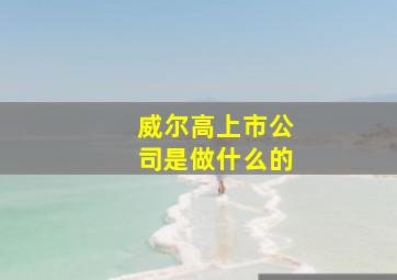 威尔高上市公司是做什么的