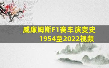 威廉姆斯F1赛车演变史1954至2022视频