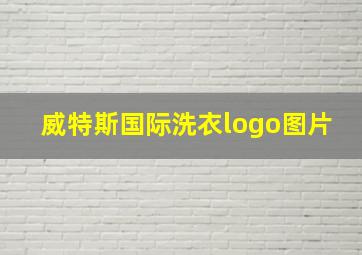 威特斯国际洗衣logo图片