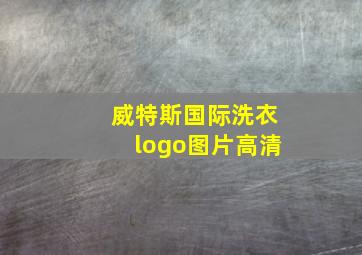 威特斯国际洗衣logo图片高清