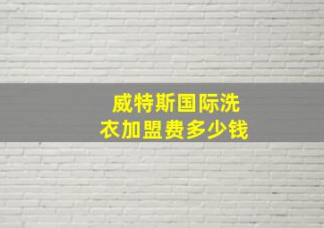 威特斯国际洗衣加盟费多少钱