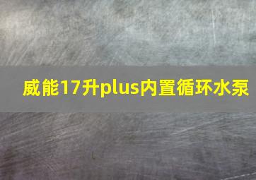 威能17升plus内置循环水泵