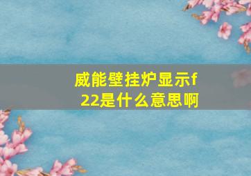 威能壁挂炉显示f22是什么意思啊