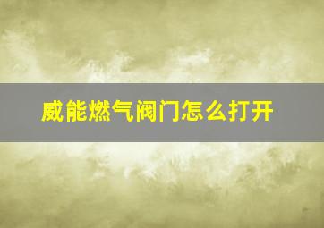 威能燃气阀门怎么打开