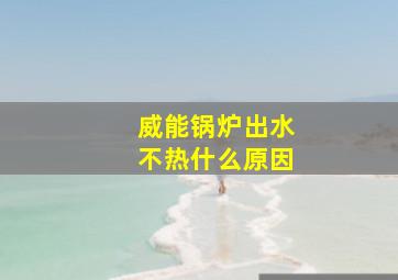 威能锅炉出水不热什么原因