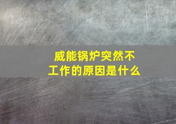 威能锅炉突然不工作的原因是什么