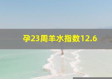 孕23周羊水指数12.6