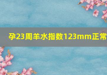 孕23周羊水指数123mm正常吗