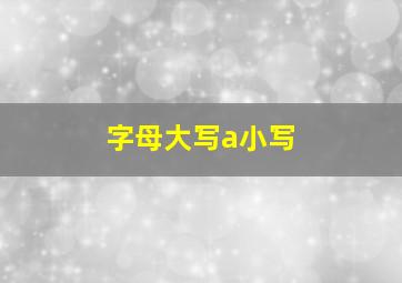 字母大写a小写