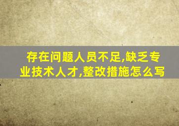 存在问题人员不足,缺乏专业技术人才,整改措施怎么写