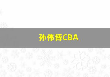 孙伟博CBA