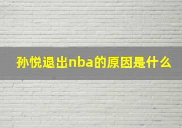 孙悦退出nba的原因是什么