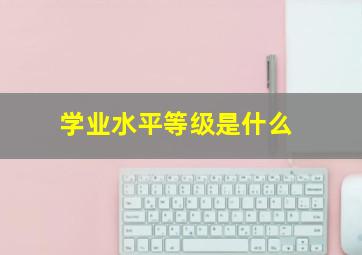 学业水平等级是什么