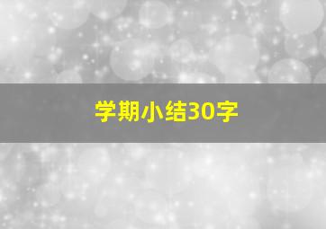 学期小结30字