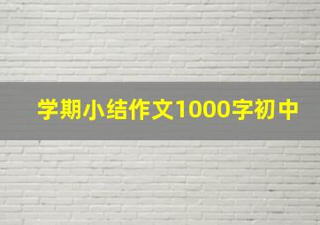 学期小结作文1000字初中