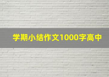 学期小结作文1000字高中