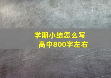 学期小结怎么写高中800字左右