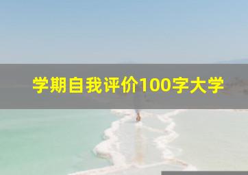 学期自我评价100字大学