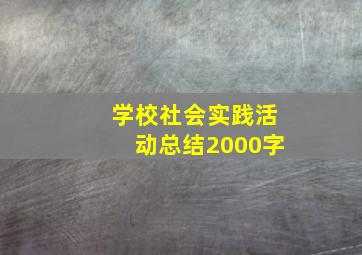 学校社会实践活动总结2000字