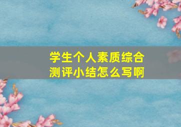 学生个人素质综合测评小结怎么写啊