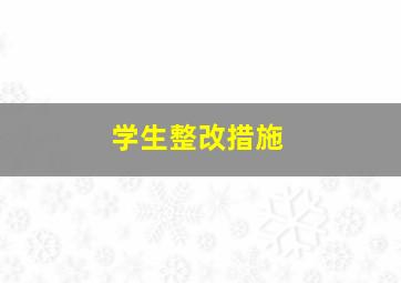 学生整改措施