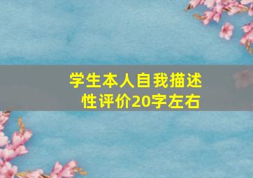 学生本人自我描述性评价20字左右