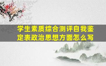 学生素质综合测评自我鉴定表政治思想方面怎么写