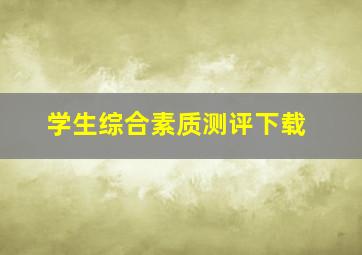 学生综合素质测评下载