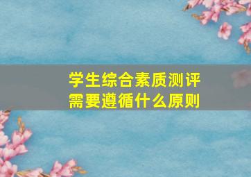 学生综合素质测评需要遵循什么原则