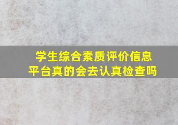 学生综合素质评价信息平台真的会去认真检查吗