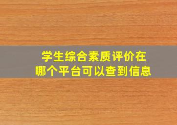 学生综合素质评价在哪个平台可以查到信息