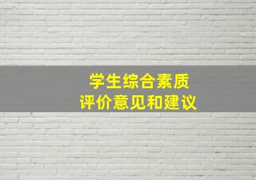 学生综合素质评价意见和建议