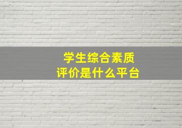 学生综合素质评价是什么平台