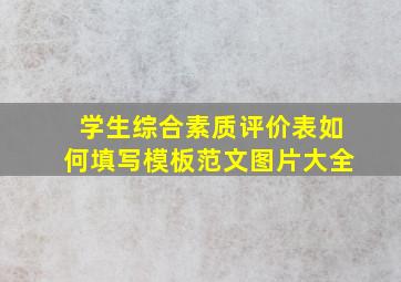 学生综合素质评价表如何填写模板范文图片大全