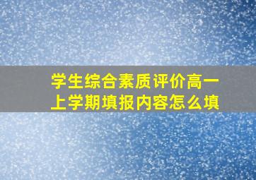 学生综合素质评价高一上学期填报内容怎么填