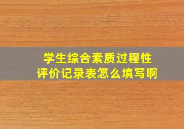 学生综合素质过程性评价记录表怎么填写啊