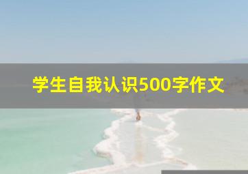 学生自我认识500字作文