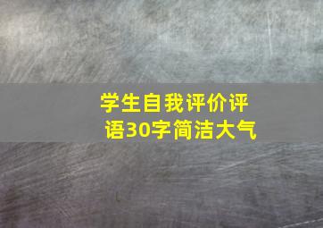 学生自我评价评语30字简洁大气