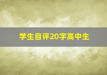 学生自评20字高中生