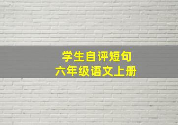 学生自评短句六年级语文上册