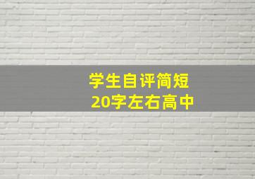 学生自评简短20字左右高中