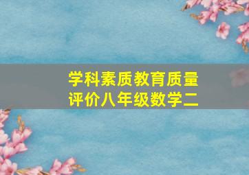 学科素质教育质量评价八年级数学二