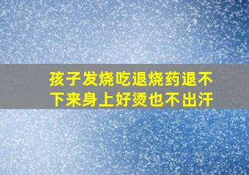 孩子发烧吃退烧药退不下来身上好烫也不出汗