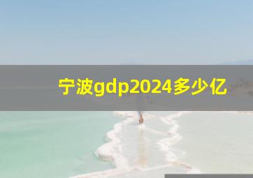 宁波gdp2024多少亿