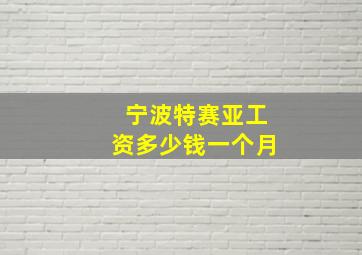 宁波特赛亚工资多少钱一个月