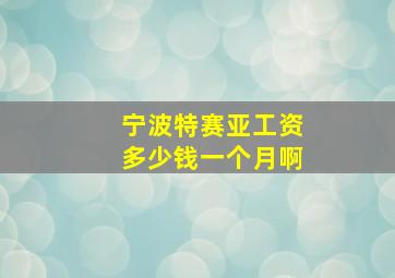 宁波特赛亚工资多少钱一个月啊