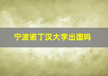 宁波诺丁汉大学出国吗