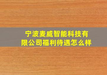 宁波麦威智能科技有限公司福利待遇怎么样