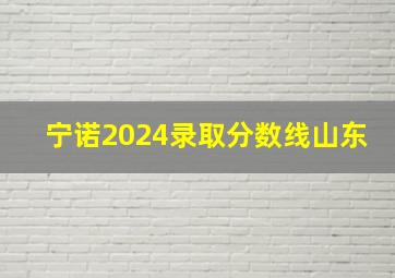 宁诺2024录取分数线山东